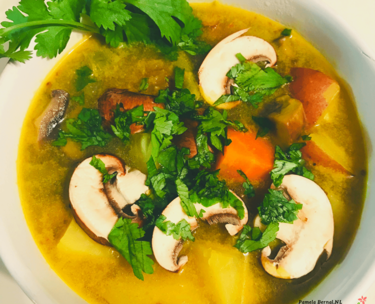 Sopa Thai Curry Amarillo - Mujer Naturista