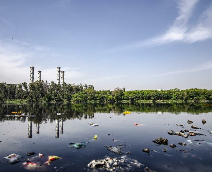 Las toxinas, banderas rojas en el síndrome metabólico - Mujer Naturista