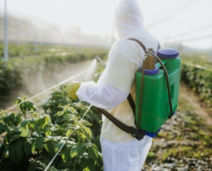 Cómo eliminar pesticidas de las frutas y verduras - Mujer Naturista