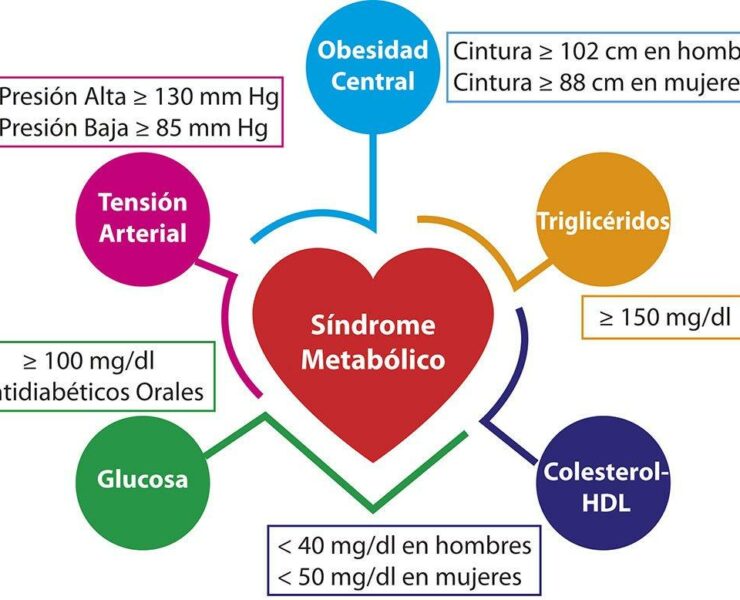 Síndrome metabólico enemigo letal de tu salud - Mujer Naturista