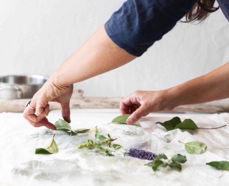 herbs menopause