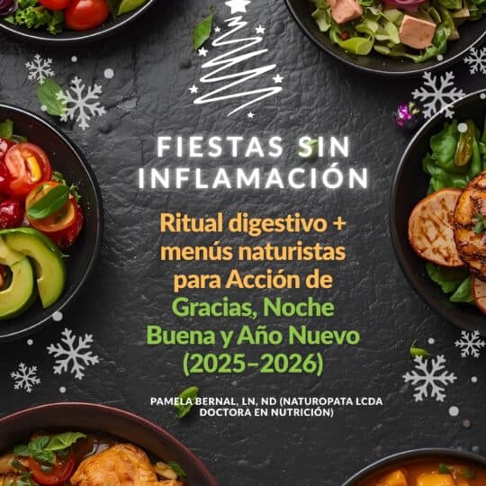 Ebook- Fiestas Sin Inflamación