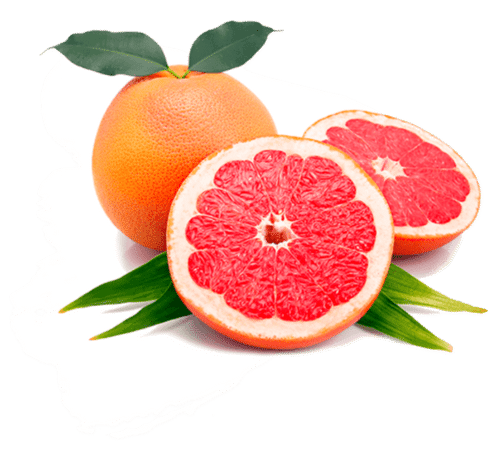 fruit-newsletter-section